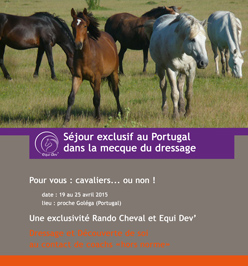 Flyer-Portugal-2015