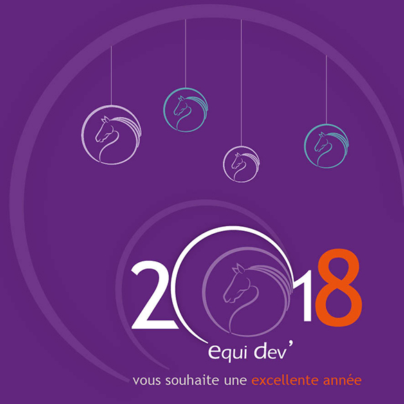 Voeux pour 2018 WEB